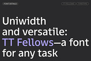 TT Fellows, a Sans Serif Font by TypeType (Thumbnail 3 of 15)