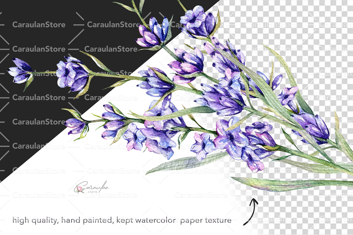 Lavender Watercolor Collection, an Object Illustration by CaraulanStore (Photo 5 of 9)
