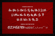 Shutdown Brush, a Script Font by RockboyStd (Thumbnail 10 of 12)