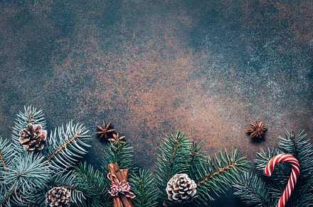 Winter wallpaper with fir tree, a Holiday Photo by The baking man