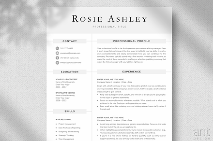 Modern Resume Template - Rosie, a Resume Template by AntDesignStudio
