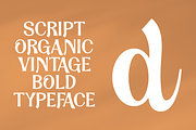 Dandy Script Typeface, a Script Font by HipFonts (Thumbnail 5 of 10)