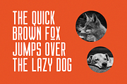 Chillvornia Font Duo!, a Sans Serif Font by Martype (Thumbnail 3 of 9)