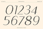 Mikea Rounded Disco, a Sans Serif Font by Craft Supply Co. (Thumbnail 6 of 8)