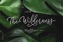 Meshitara Elegant Font