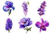 Watercolor Flower Clipart, an Illustration by Daily.Designs (Thumbnail 3 of 5)
