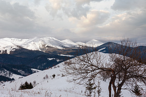 Morning winter mountain ridge, a Nature Photo by YuriyB