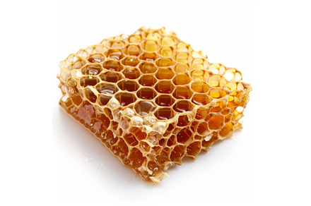 Fresh honeycomb dripping honey on, a Food & Drink Photo by Ylivdesign