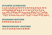 Raspberie - Retro Modern Font, a Serif Font by Variatype (Thumbnail 15 of 15)