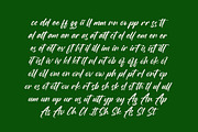 Birthday Shottera Bold Handwritten, a Script Font by Letterena Studios Script (Thumbnail 18 of 20)