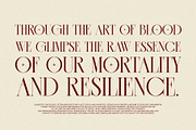 CASSEROS MASSCOTTES Elegant Serif, a Serif Font by Alfinart (Thumbnail 5 of 11)