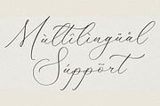 Fattrios Schudnel Chic Calligraphy, a Script Font by Storytype Studio (Thumbnail 10 of 13)