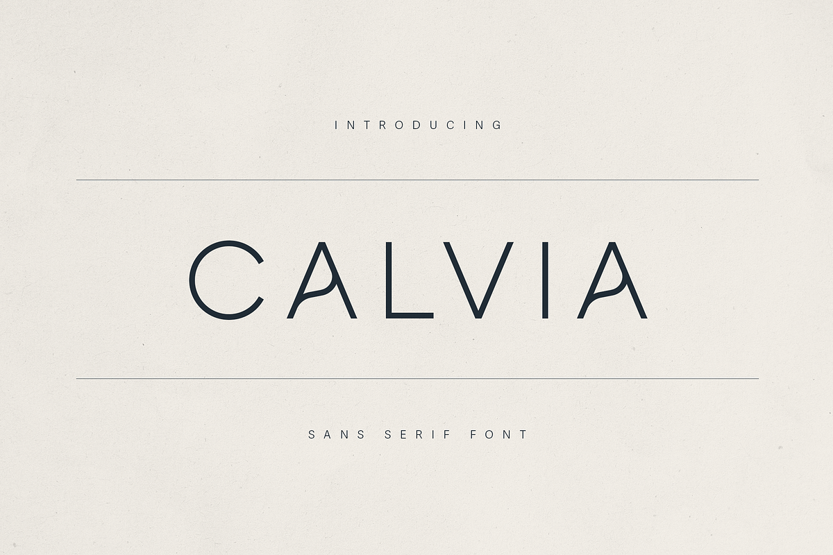 Calvia –  Minimalist Sans Serif Font, a Sans Serif Font by Only Fonts (Photo 1 of 11)