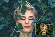 Matte Lightroom Presets, an Action Add-On by PresetKingdom.com (Thumbnail 2 of 7)