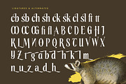Rachon Bold Tall Display Serif, a Serif Font by timelesstype.co (Thumbnail 18 of 20)