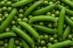 Fresh green peas in pods, a Food & Drink Photo by professorinc