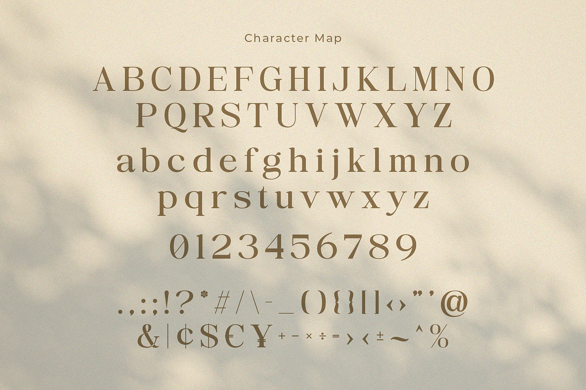 Singlest - Sophisticated Serif, a Serif Font by Jimoji (Photo 9 of 11)
