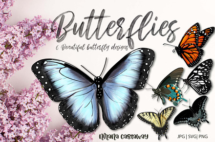 6 Beautiful Butterfly Illustrations, an Animal Illustration by Nirvana Castaway