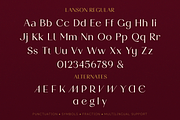 Lanson Font Family, a Sans Serif Font by Larin Type Co. (Thumbnail 15 of 15)