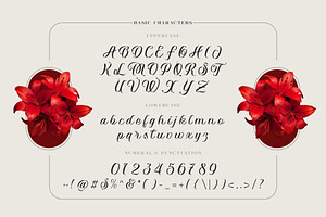 Vaclice Script Font