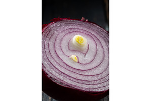 Macro photo of a sliced red onion, a Food & Drink Photo by Stockphoto by vzwer