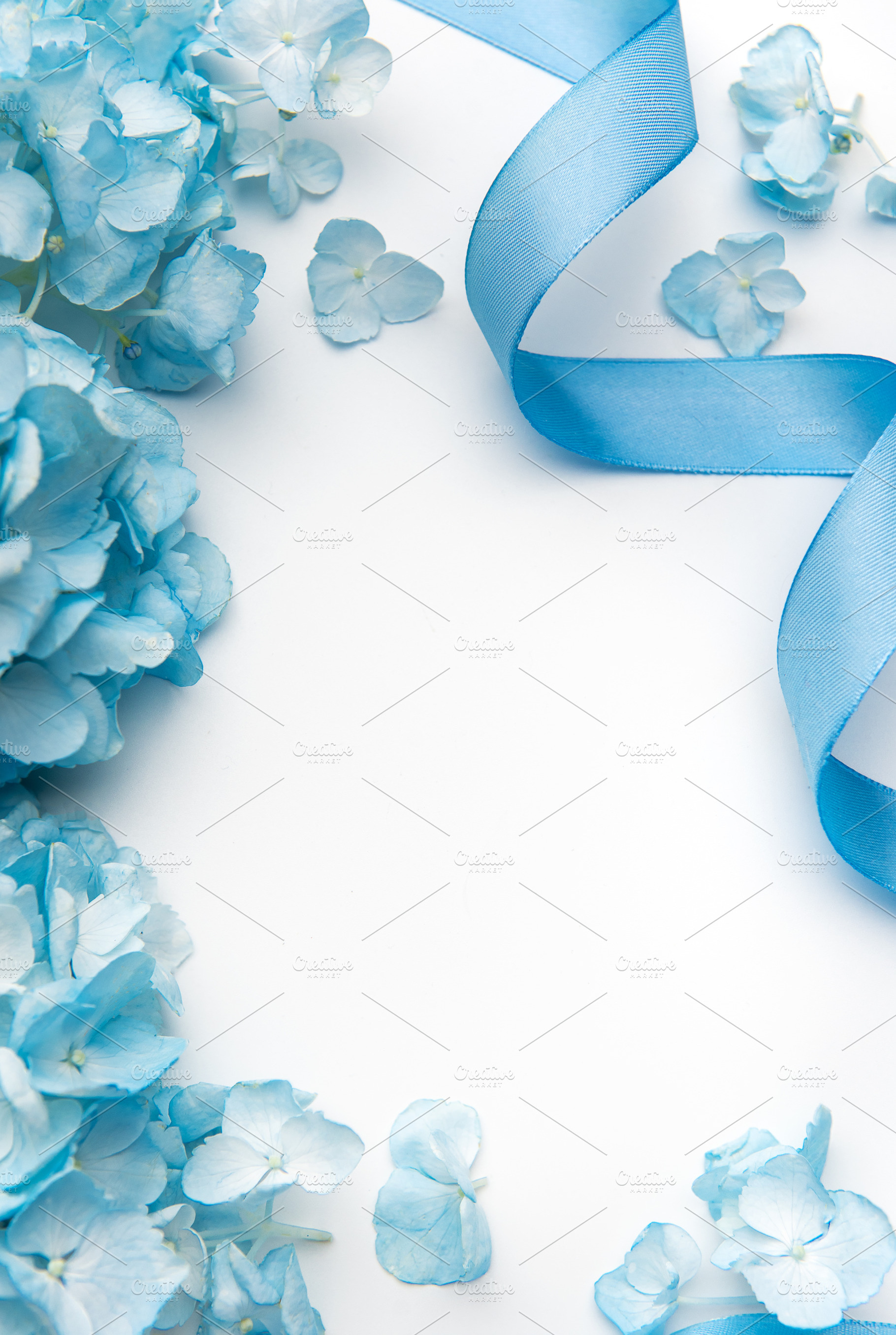 Blue hydrangea flowers and ribbon forming a decorative frame, a Nature Photo by Olena Rudo