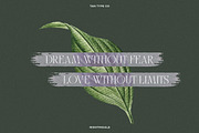 TAN - NIGHTINGALE, a Serif Font by TanType (Thumbnail 6 of 15)