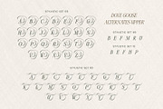 Dove and Goose Typeface, a Serif Font by alit design (Thumbnail 11 of 20)