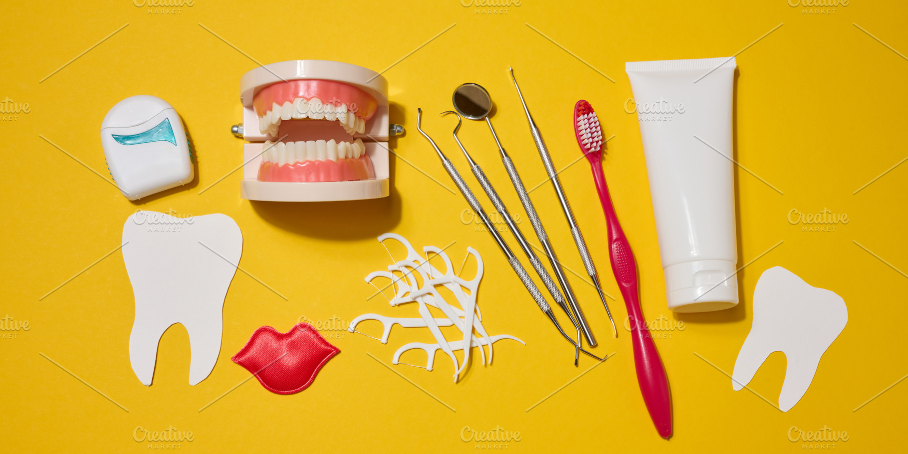 Dental floss in a case, model of dentures, dental instruments, r, a Health & Medical Photo by ndanko