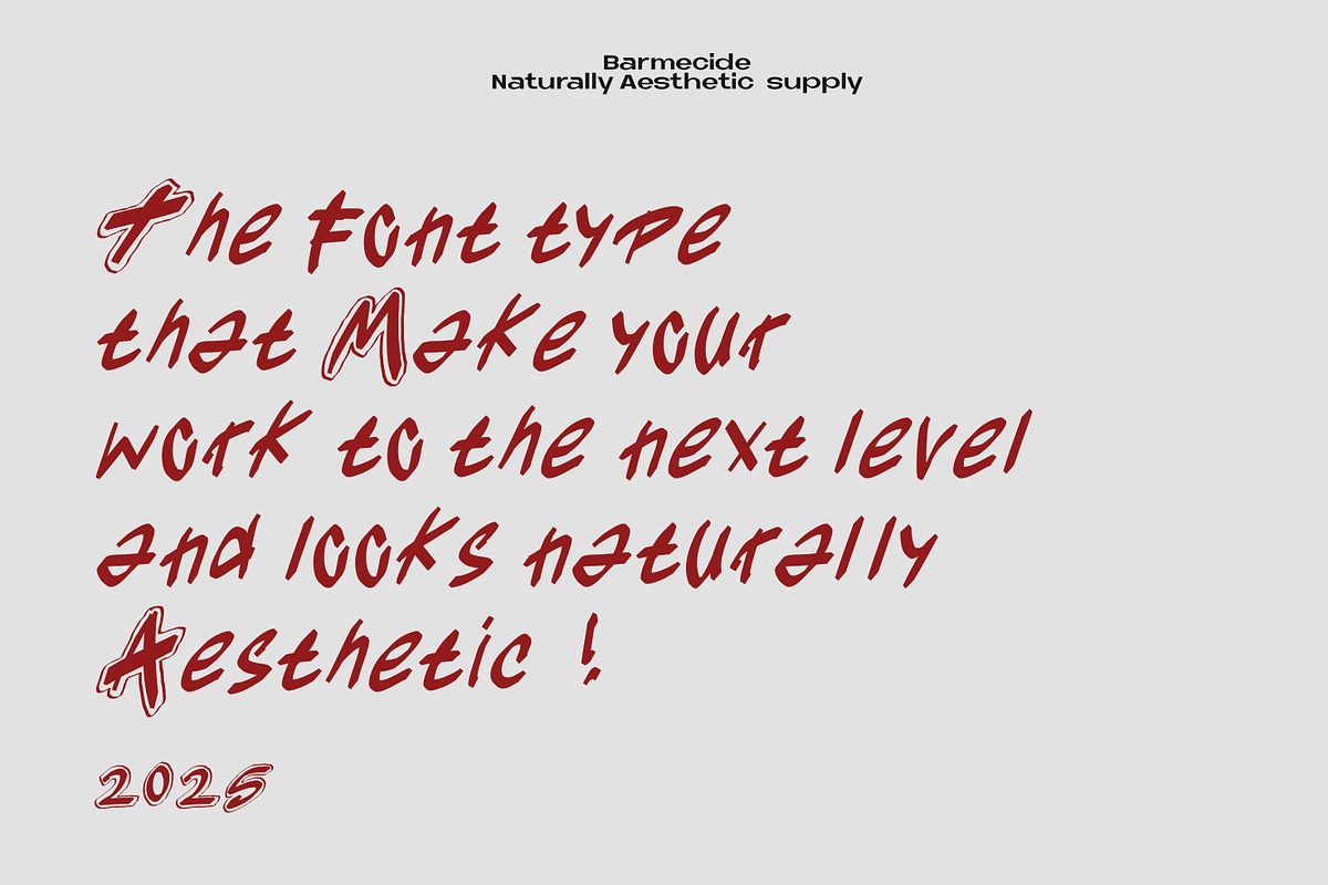 MOISCHIZ FONT, a Font by Barmecide Mockup Studio (Photo 2 of 3)