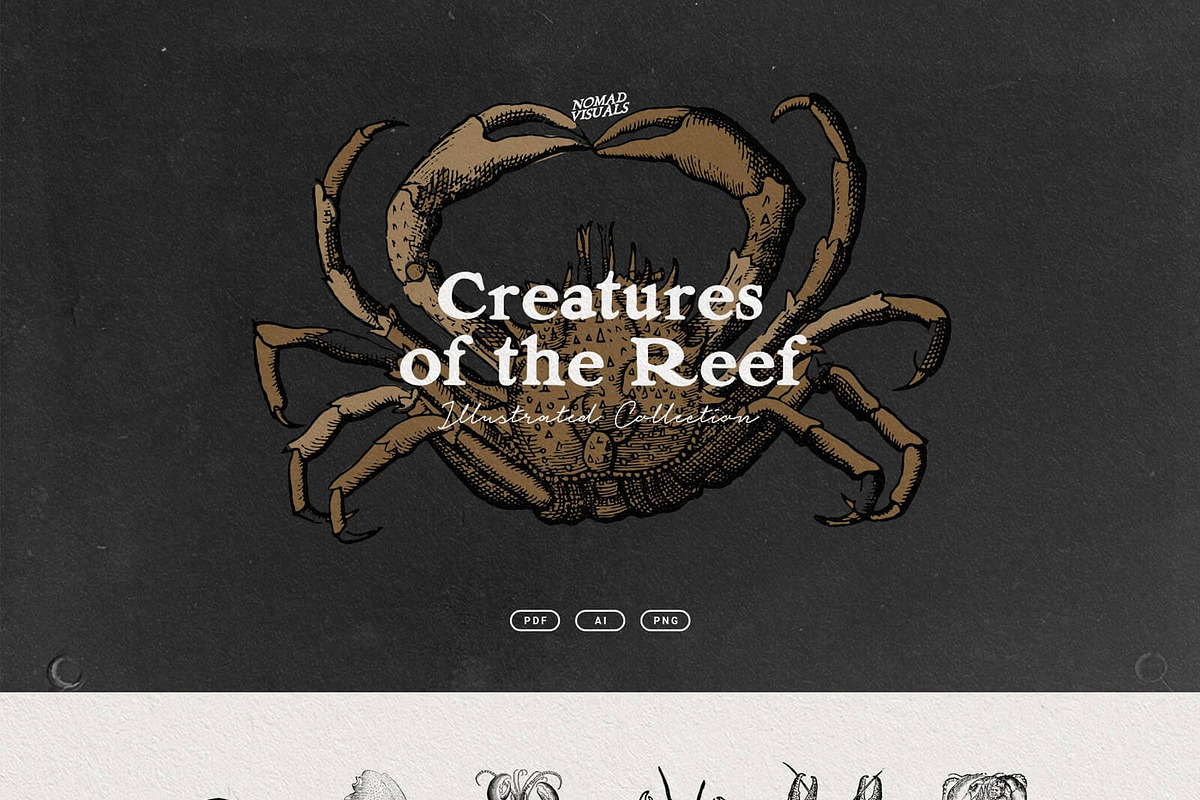 Vintage Bundle - 6600+ Illustrations, an Animal Illustration by Nomad Visuals (Photo 29 of 45)