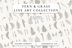 Fern & Grass Line Art Collection