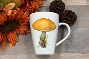 Botanical art watercolor and pencils, a Food Illustration by ViktoriArt (Thumbnail 15 of 16)