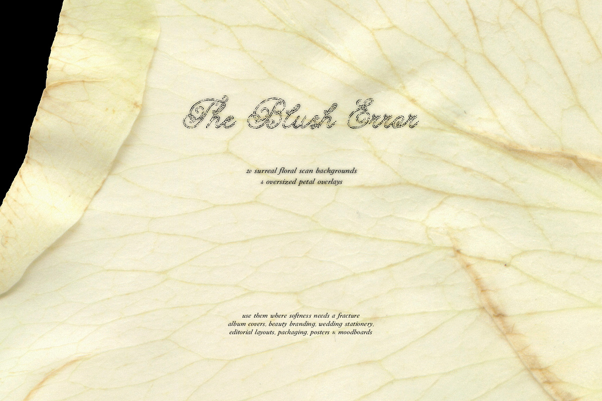 The Blush Error - Floral Backgrounds, a Wallpaper Graphic by Purple (Photo 10 of 12)