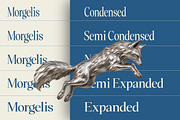 Morgelis, a Serif Font by Gatype (Thumbnail 3 of 15)