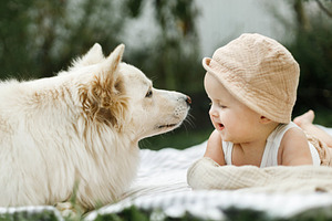 Beautiful happy baby and cute dog lying on blanket with toys on, a Person Photo by Sonjachni