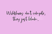 Blossom Breeze Script, a Handwritten Font by Beck McCormick (Thumbnail 9 of 10)