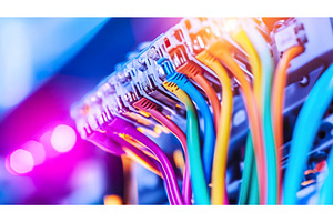 Colorful network cables connected in, a Technology Photo by Lermont51