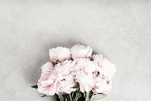 Bouquet of Light Pink Peonies on Gray Concrete Background, a Holiday Photo by Natalia Klenova's Shop