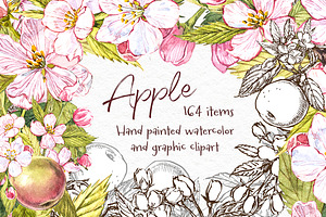 Apple Graphic & Watercolor clipart