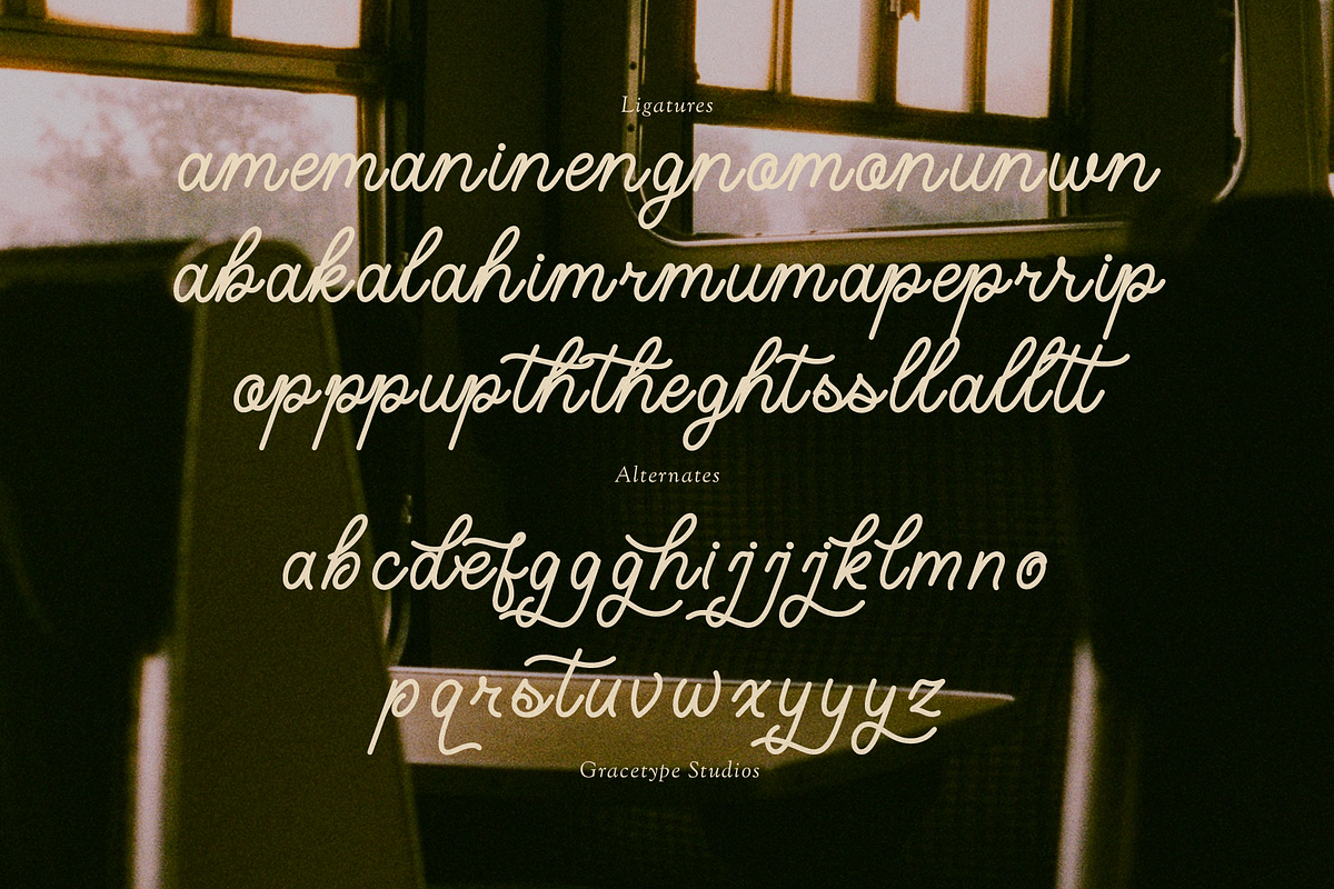 Mastin Calum | Monoline Script Font, a Script Font by gracetype_studio (Photo 12 of 12)