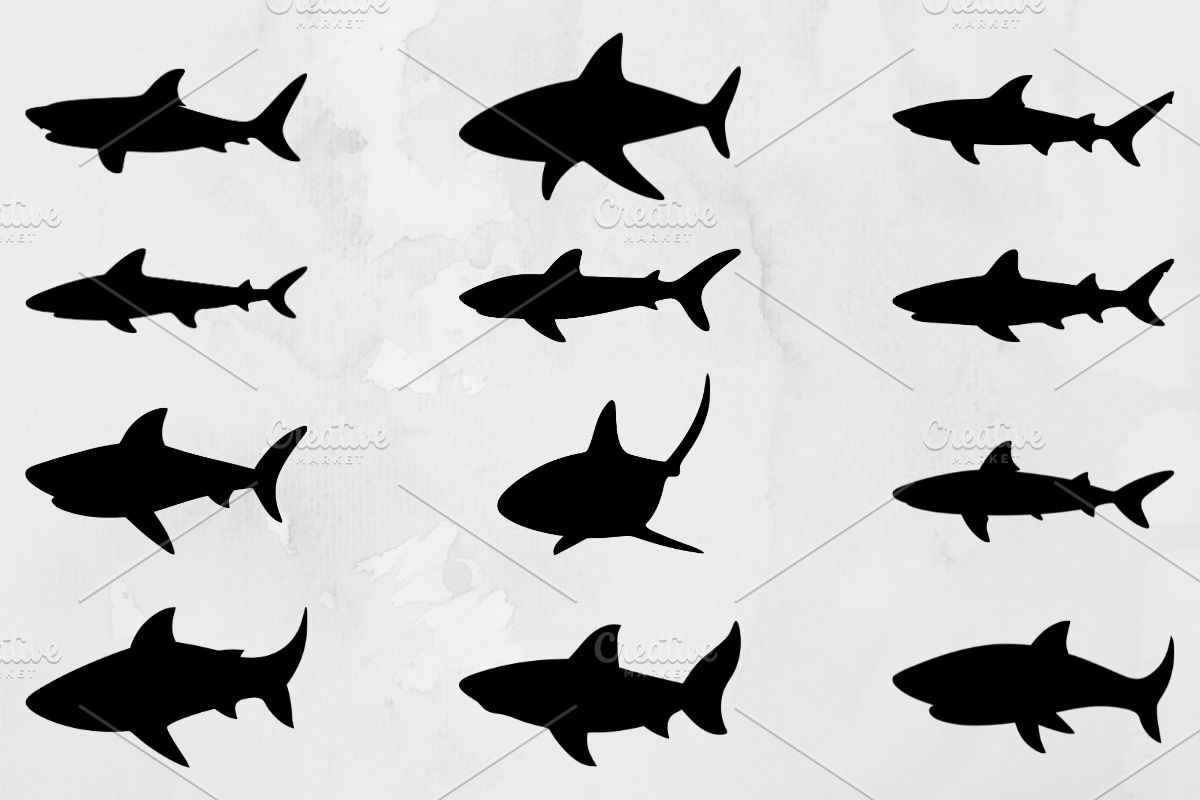 Shark Silhouette SVG, an Animal Illustration by newminddesign (Photo 1 of 3)