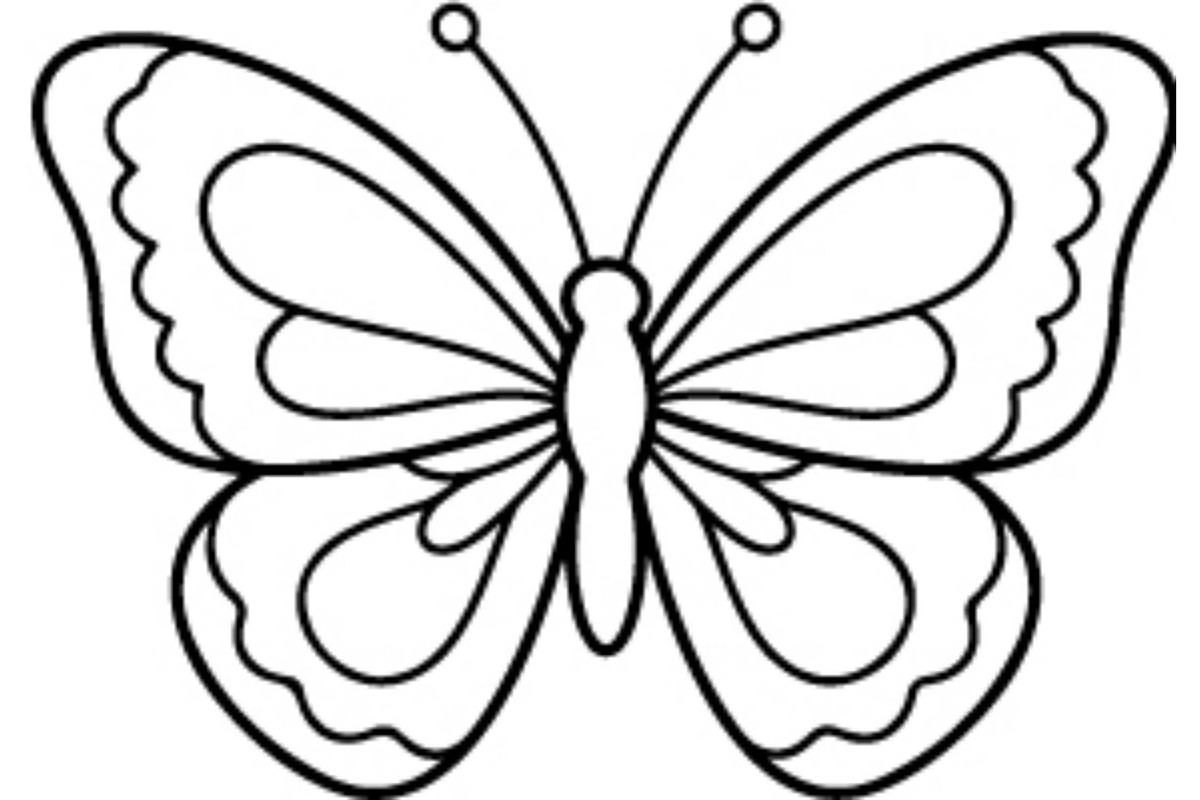 Butterfly SVG Bundle, an Object Graphic by Gfx_Store (Photo 10 of 16)
