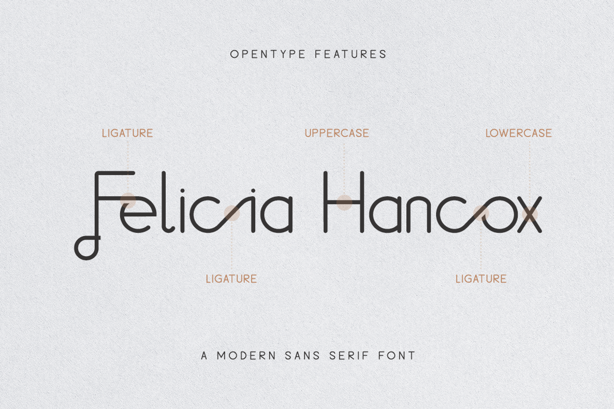 Featheriest - Business Font, a Sans Serif Font by RockboyStd (Photo 10 of 12)