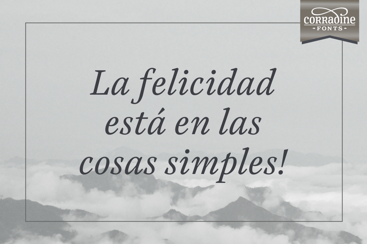 Austera Text Essential #1, a Serif Font by Corradine Fonts (Photo 13 of 14)