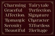 Gts Valier | Romantic Font, a Serif Font by Graptail (Thumbnail 7 of 11)
