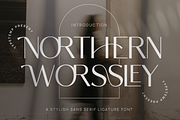 Northern Worssley - Ligature Sans, a Sans Serif Font by Typetemp Studio (Thumbnail 1 of 17)
