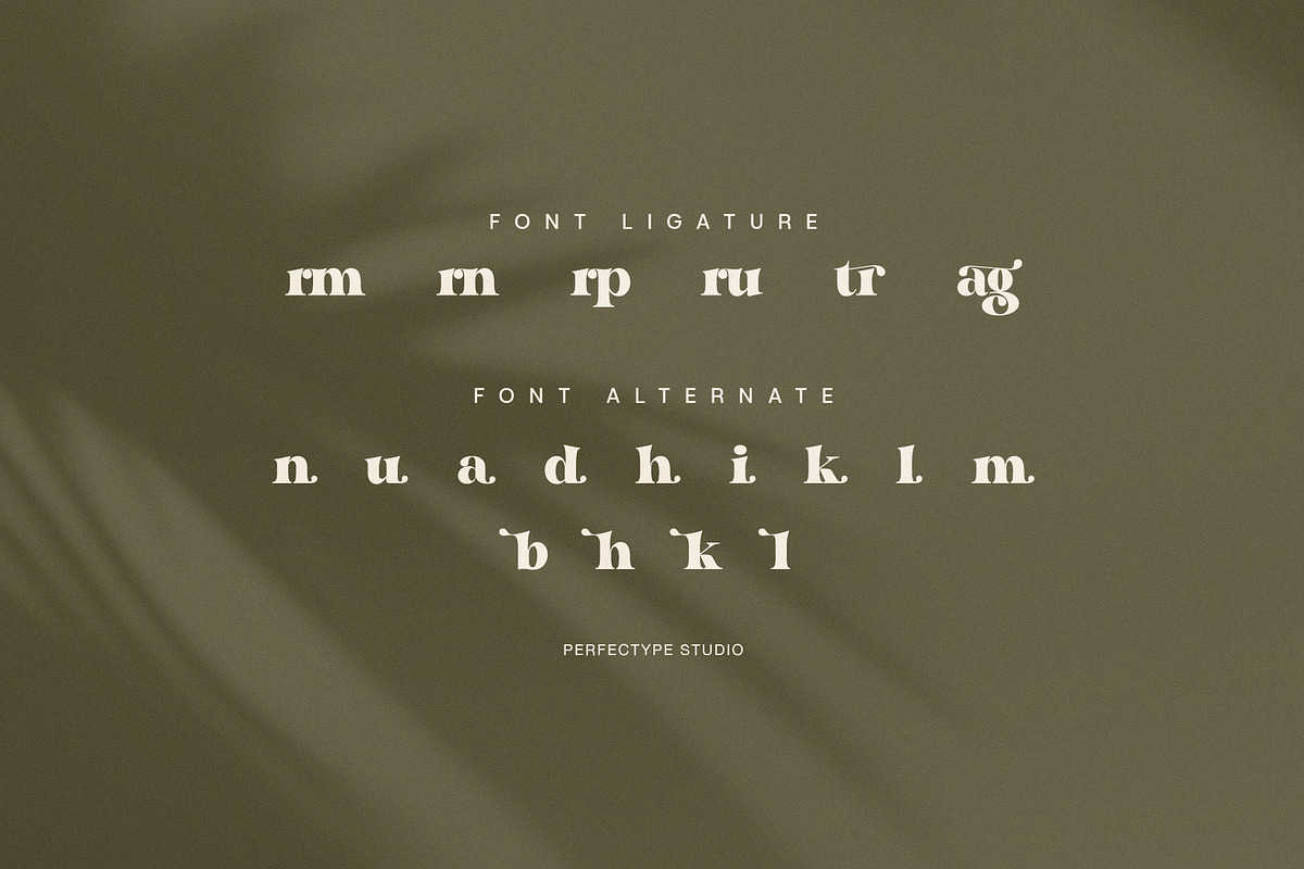 Magil Elegant Serif Font, a Serif Font by Perfectype (Photo 8 of 8)