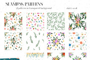 BLOSSOM GARDEN Botanical Collection, an Illustration by Alisha Gronska (Thumbnail 5 of 11)