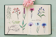 DRAGONFLIES. Watercolor clipart, an Illustration by digital_essence (Thumbnail 5 of 10)